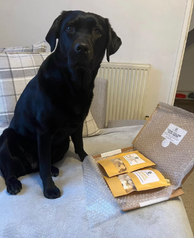 Personalised Valentine Dog Treat Gifts